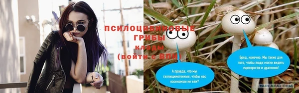 амф Алексин