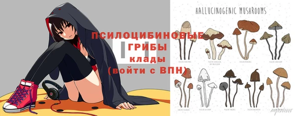 ГАЛЛЮЦИНОГЕННЫЕ ГРИБЫ Абаза